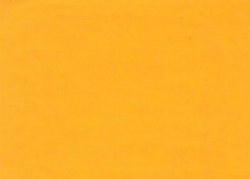 1984 GM Wheatland Yellow